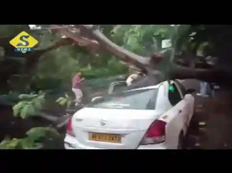 ৮৮ কিমি ঝড়ে লন্ডভন্ড কলকাতা, ভাঙল গাছ, মৃত্যুও