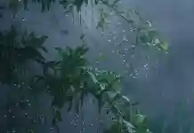 দক্ষিণে ঝড়-বৃষ্টি, উত্তরে অতি বৃষ্টির সম্ভাবনা, ব্রাত্য তিলোত্তমা