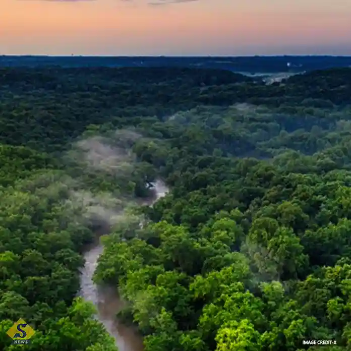 The-Amazon-lives-in-the-dust-of-the-Sahara-Desert