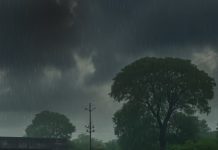 ঝড়বৃষ্টির পূর্বাভাস রাজ্যজুড়ে,বইবে ঝোড়ো হাওয়া