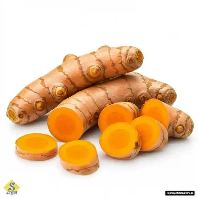 সকালে এক টুকরো কাঁচা হলুদ