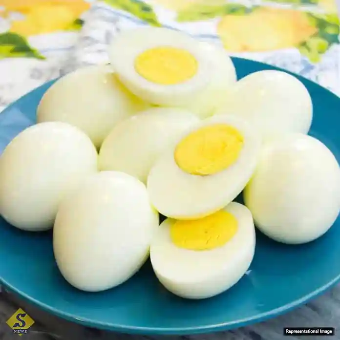 ডিমের কুসুম নাকি সাদা অংশ ?