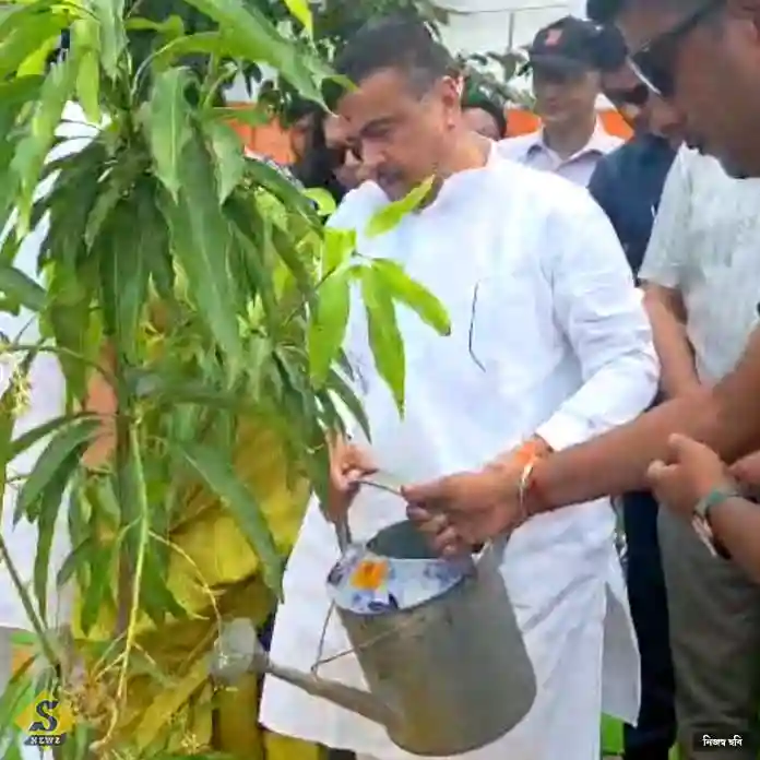 রাজ্যজুড়ে ১ কোটিরও বেশি গাছ লাগাবে সরকার, ঘোষণা মুখ্যমন্ত্রীর