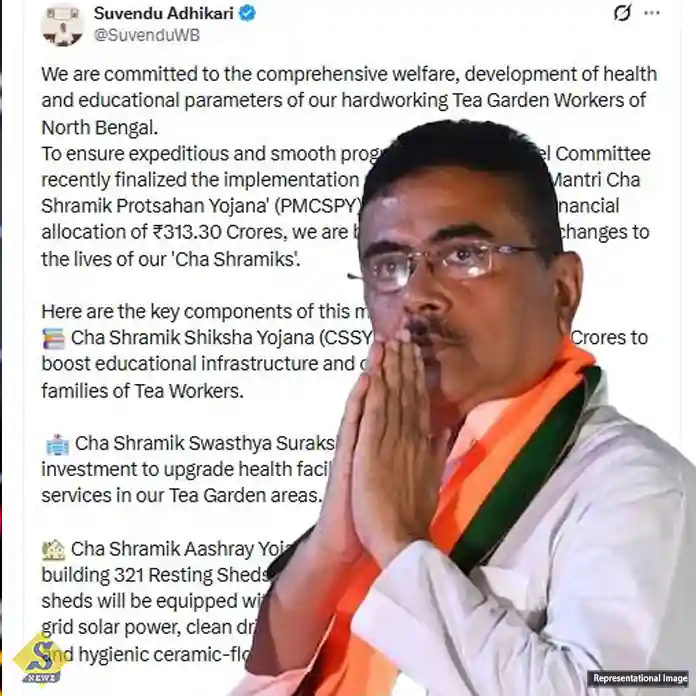 চা শ্রমিকদের উন্নয়নের ৩১৩ কোটি টাকা বরাদ্দ রাজ্যের 